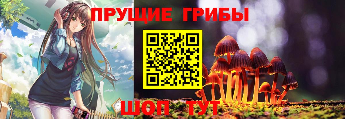Псилоцибиновые грибы прущие грибы Краснокаменск