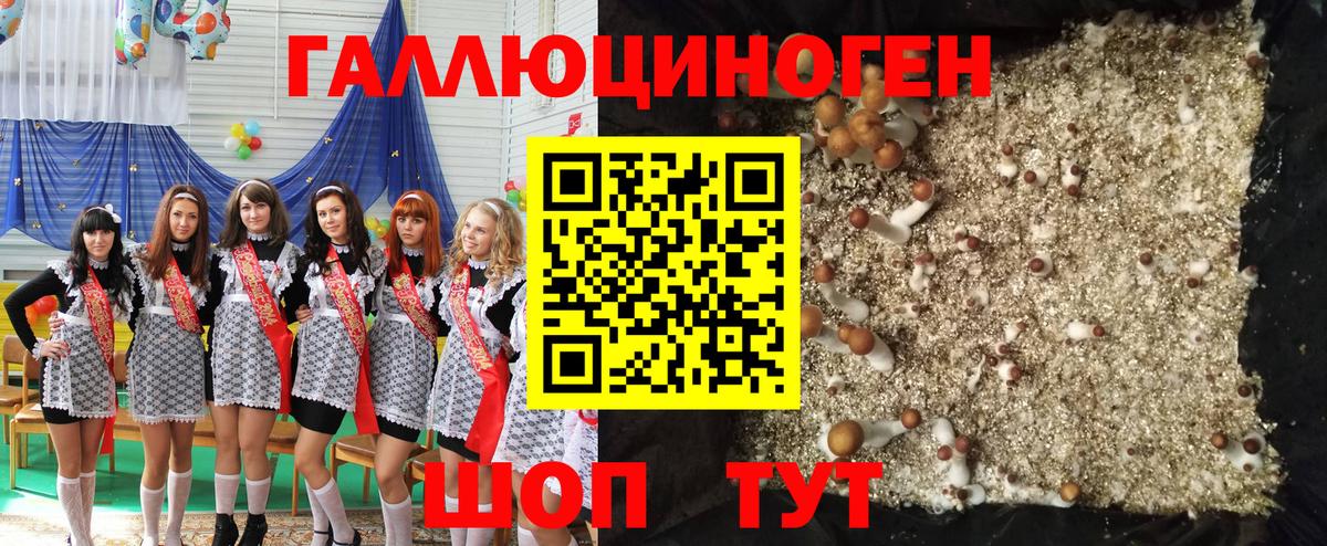 Псилоцибиновые грибы MAGIC MUSHROOMS  купить   Краснокаменск  Вход с VPN 